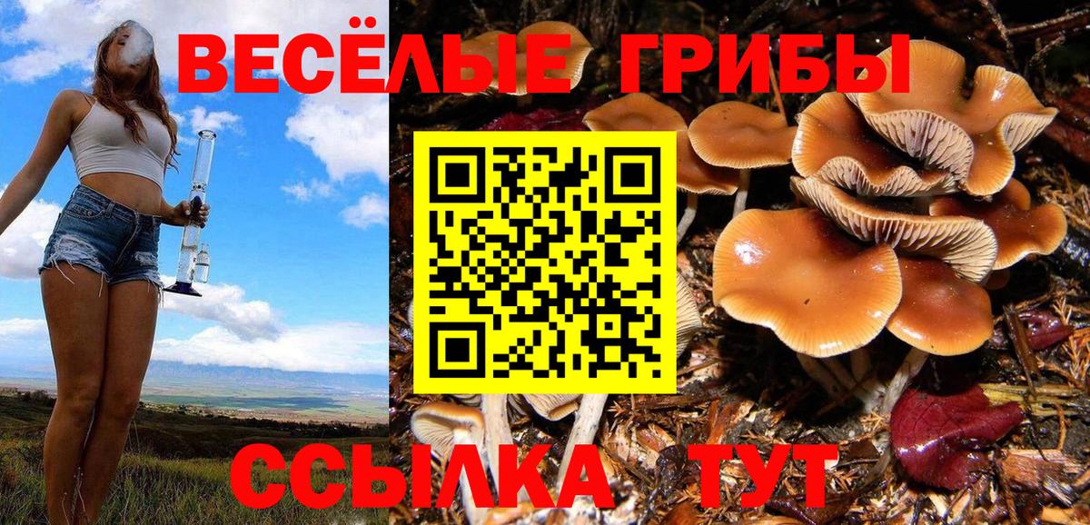 Галлюциногенные грибы ЛСД  Псилоцибиновые грибы Cubensis  Вход с VPN  Красноармейск 