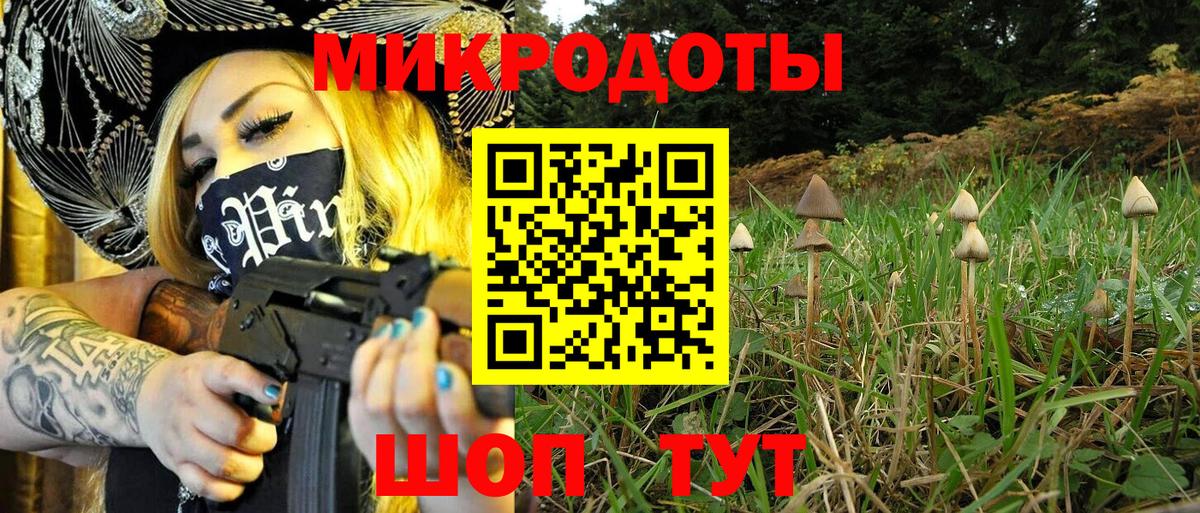 Галлюциногенные грибы мицелий Красноармейск